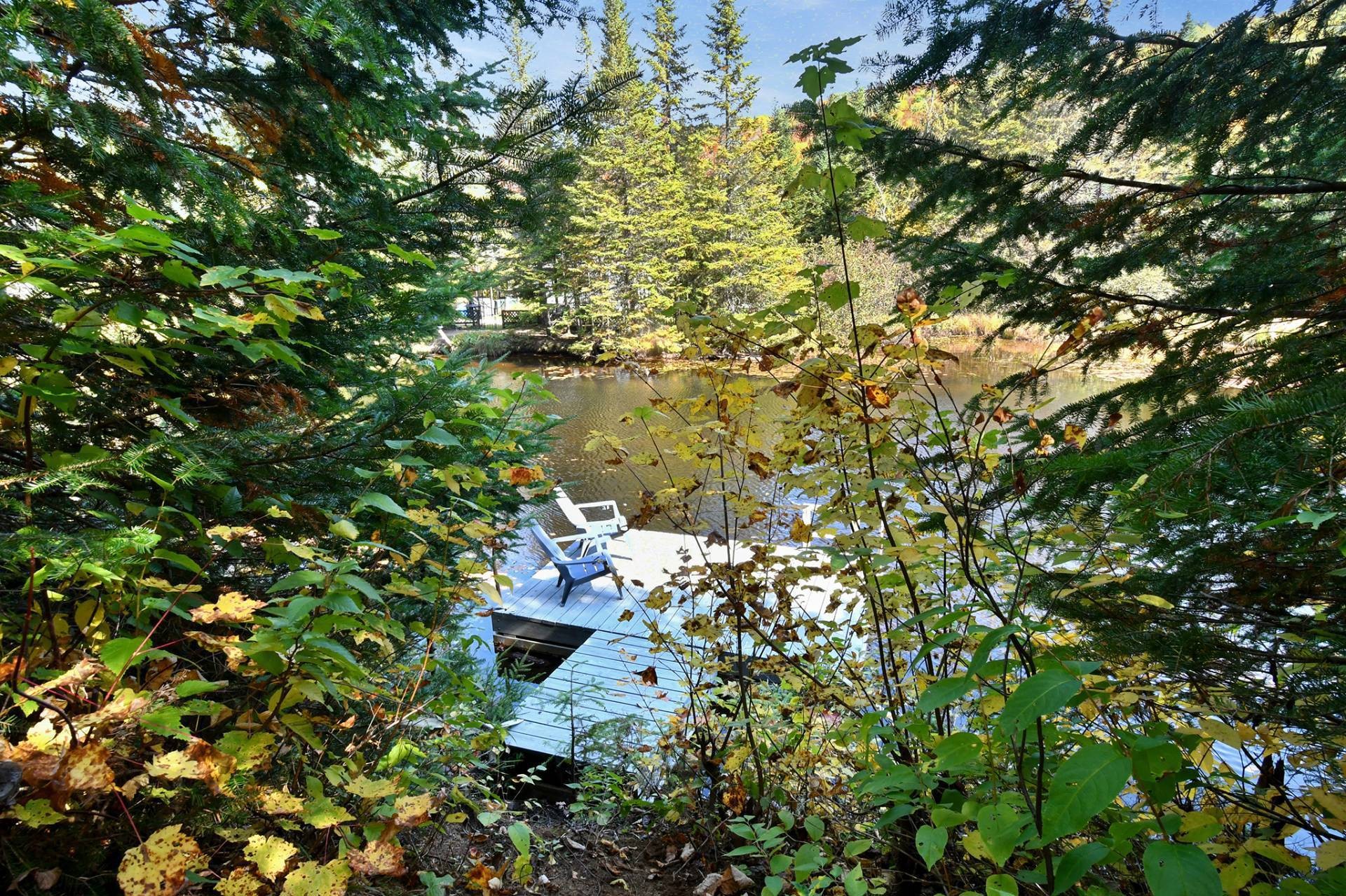 









93


Ch. du Domaine-Ayotte

,
Saint-Donat,




QC
J0T2C0

