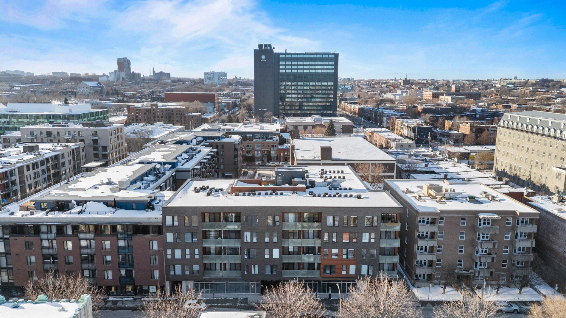 









2229


Rue Ste-Catherine E.

, 203,
Montréal (Ville-Marie),




QC
H2K0B8

