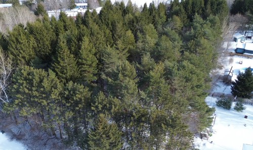 Photo de l'inscription vedette 