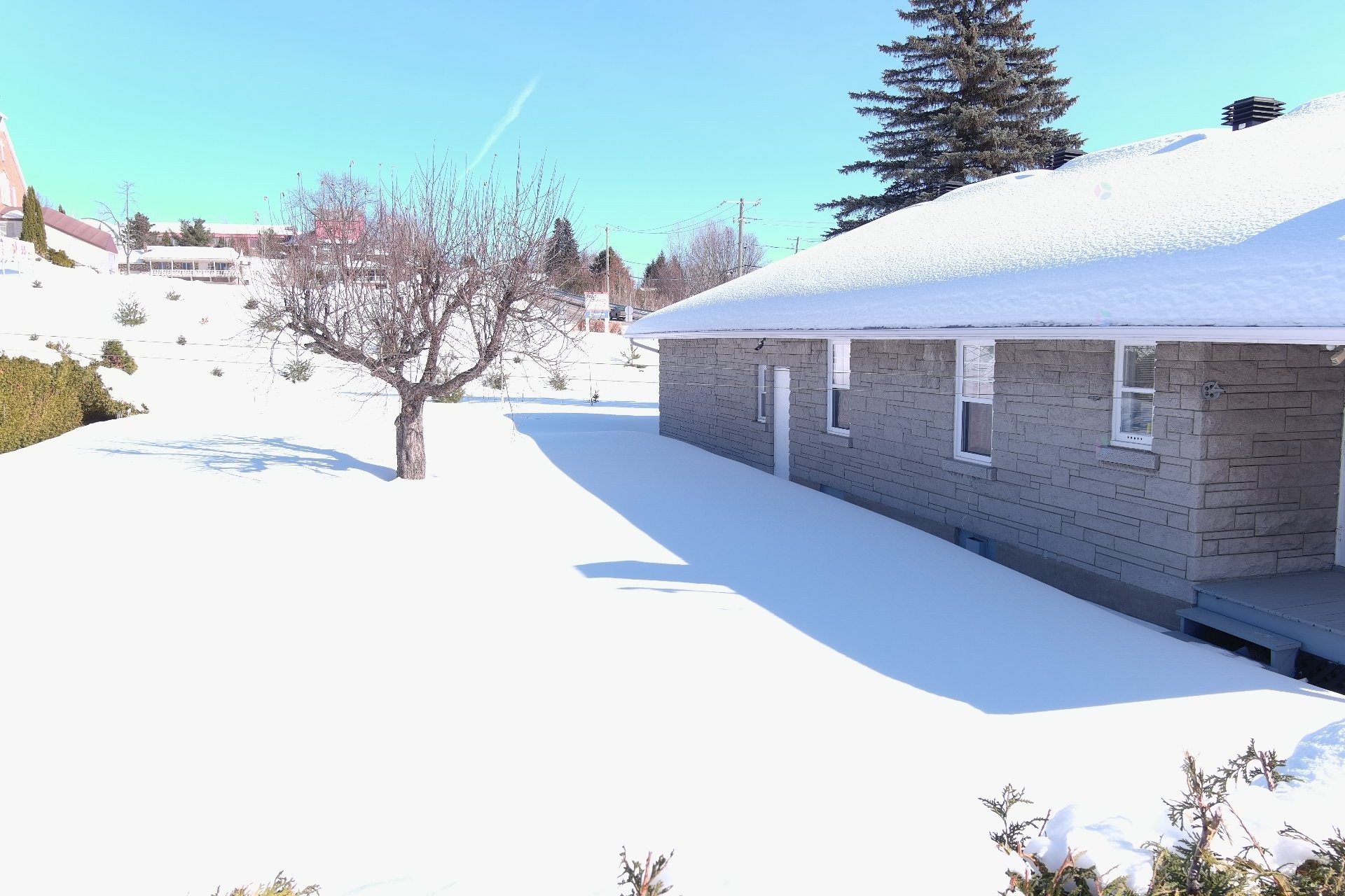 









4303


Boul. des Hêtres

,
Shawinigan,




QC
G9N4V5

