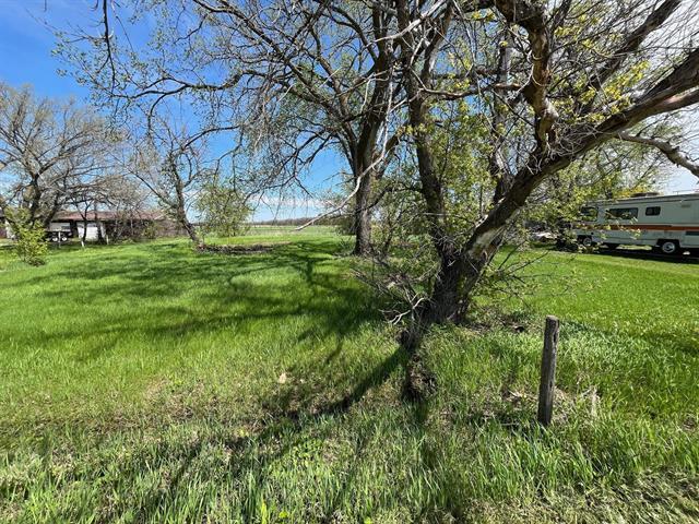 









116


Alloway

AVE,
St Laurent,







MB
R0C 2S0

