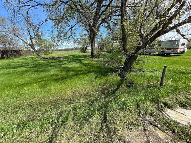 









116


Alloway

AVE,
St Laurent,







MB
R0C 2S0

