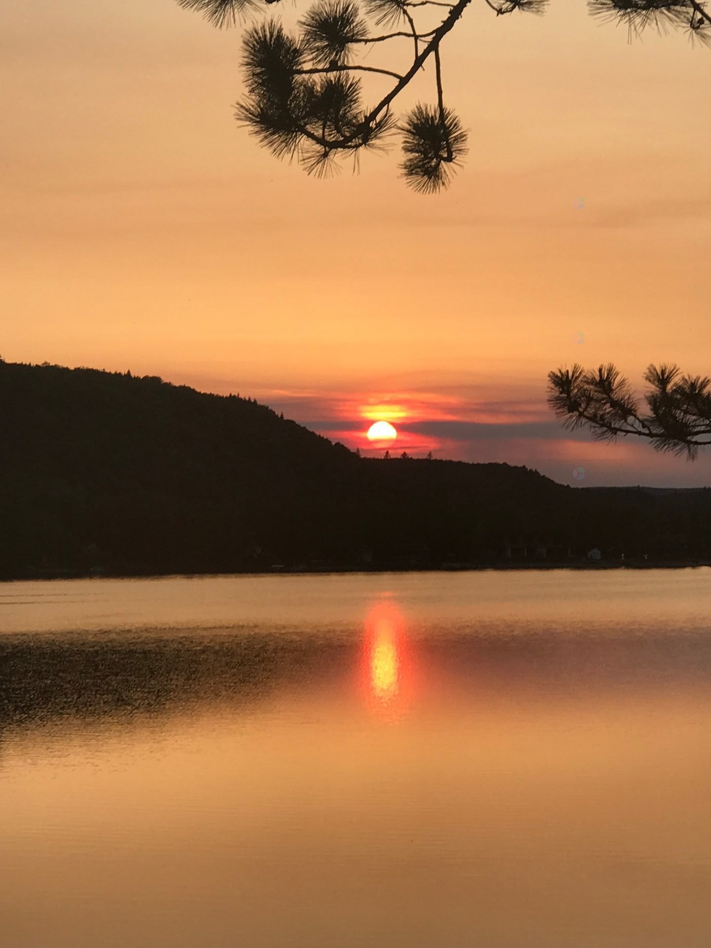 









2020


Ch. du Lac-Ste-Rose N.

,
Mandeville,




QC
J0K1L0

