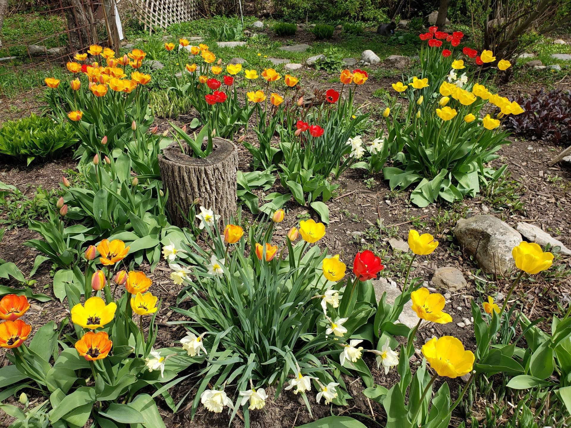 









208


Ch. St-Charles

,
Longueuil (Greenfield Park),




QC
J4V2K5

