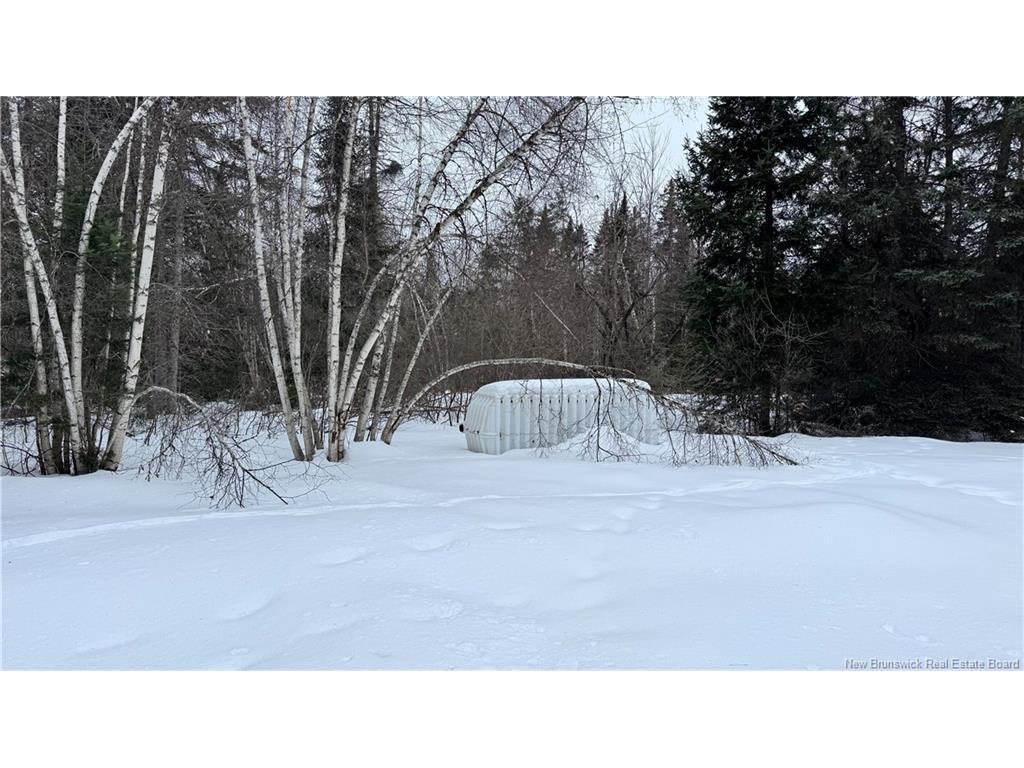 









174


Indian Gardens

RD,
Red Bank,




NB
E9E 1T1

