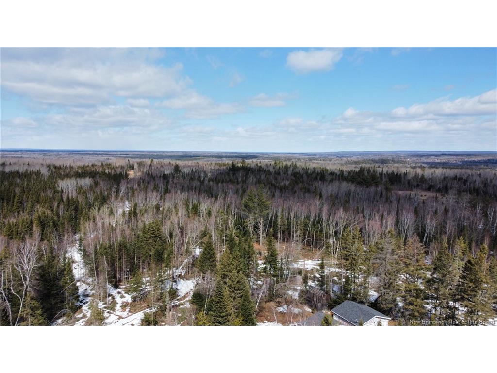 









174


Indian Gardens

RD,
Red Bank,




NB
E9E 1T1

