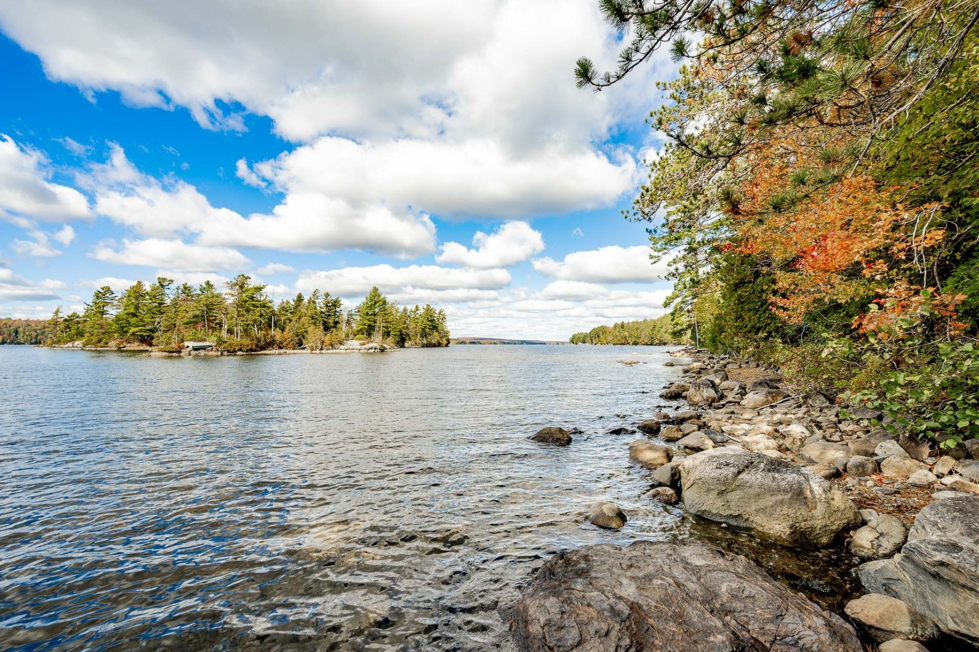 









220


Rue de l'Archipel

,
Saint-Denis-de-Brompton,




QC
J0B2P0

