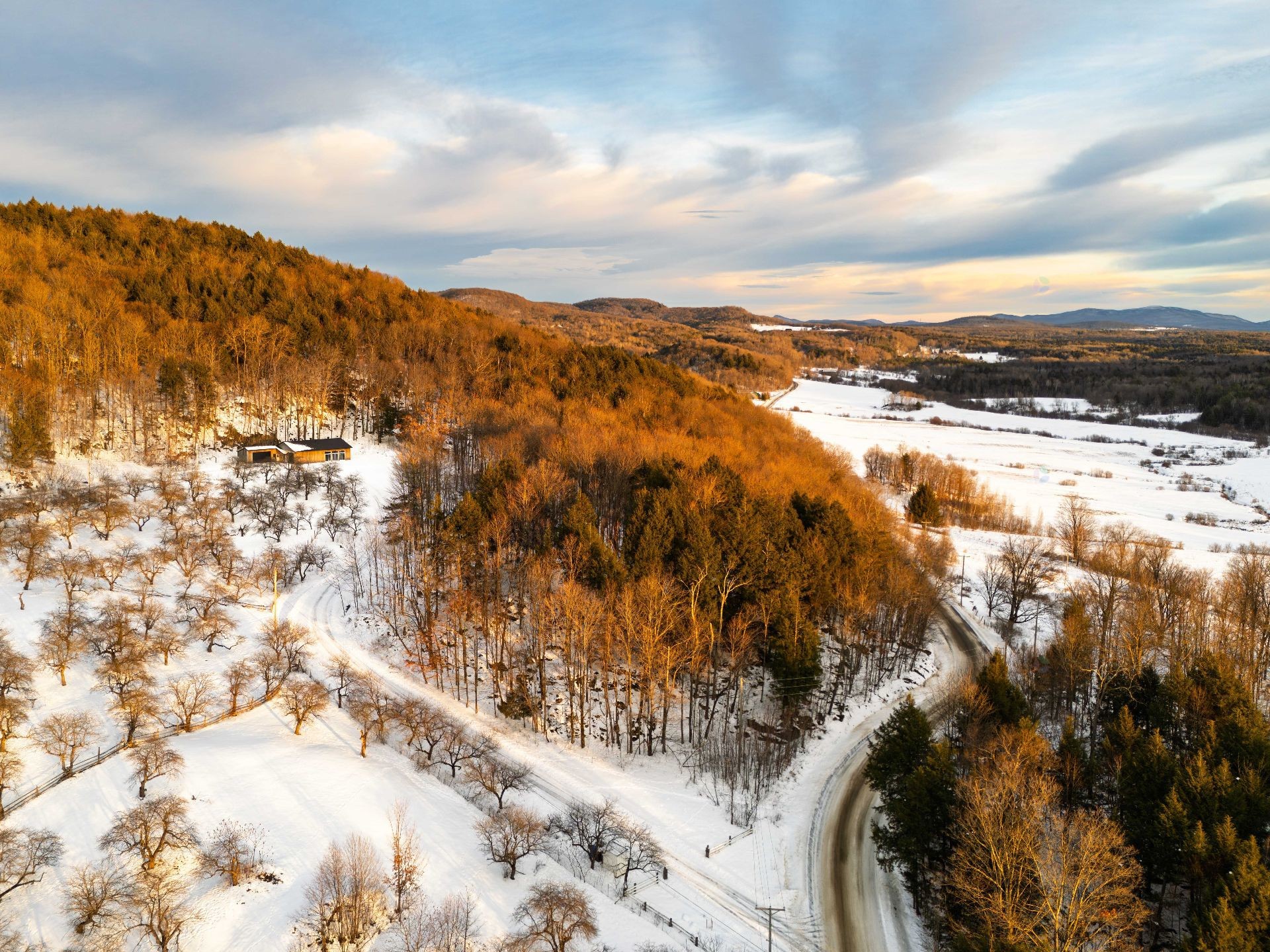 









1279


Ch. Hallé E.

,
Brigham,







QC
J2K4G5

