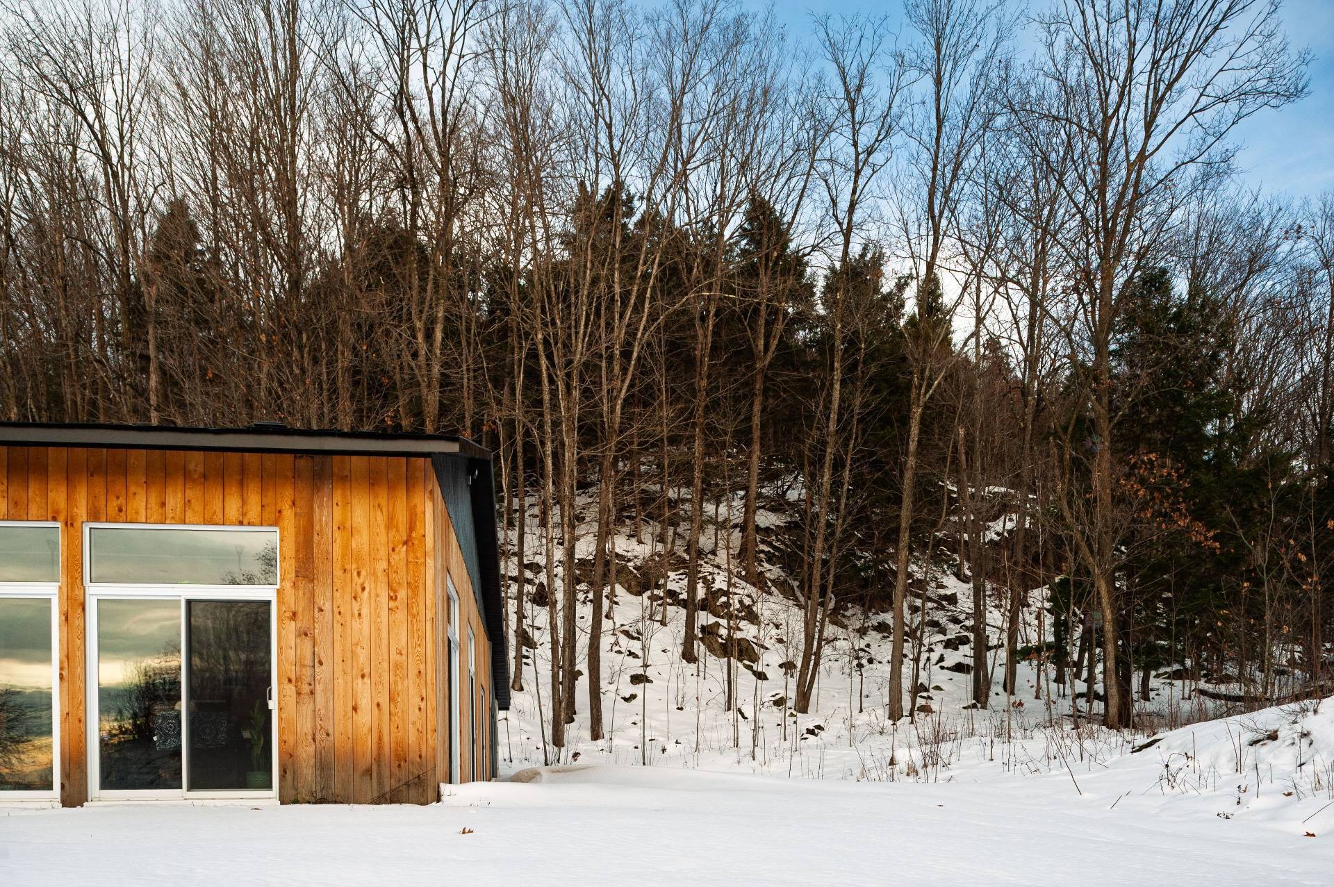 









1279


Ch. Hallé E.

,
Brigham,







QC
J2K4G5

