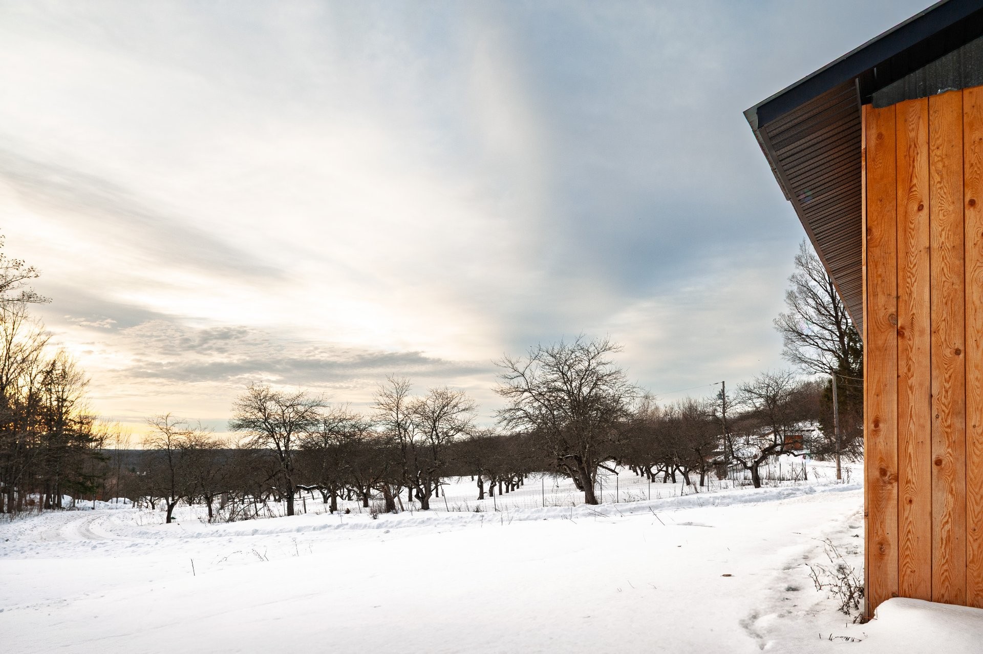 









1279


Ch. Hallé E.

,
Brigham,







QC
J2K4G5

