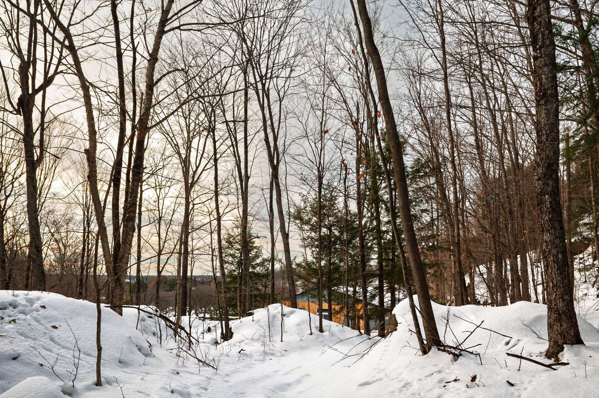 









1279


Ch. Hallé E.

,
Brigham,







QC
J2K4G5

