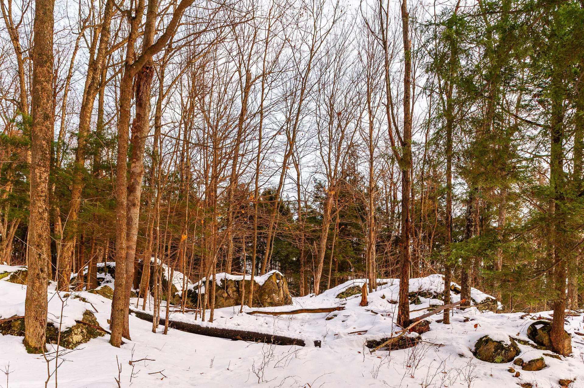 









1279


Ch. Hallé E.

,
Brigham,







QC
J2K4G5

