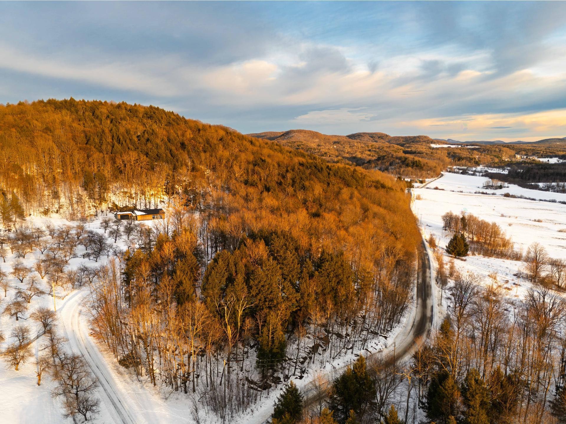 









1279


Ch. Hallé E.

,
Brigham,







QC
J2K4G5

