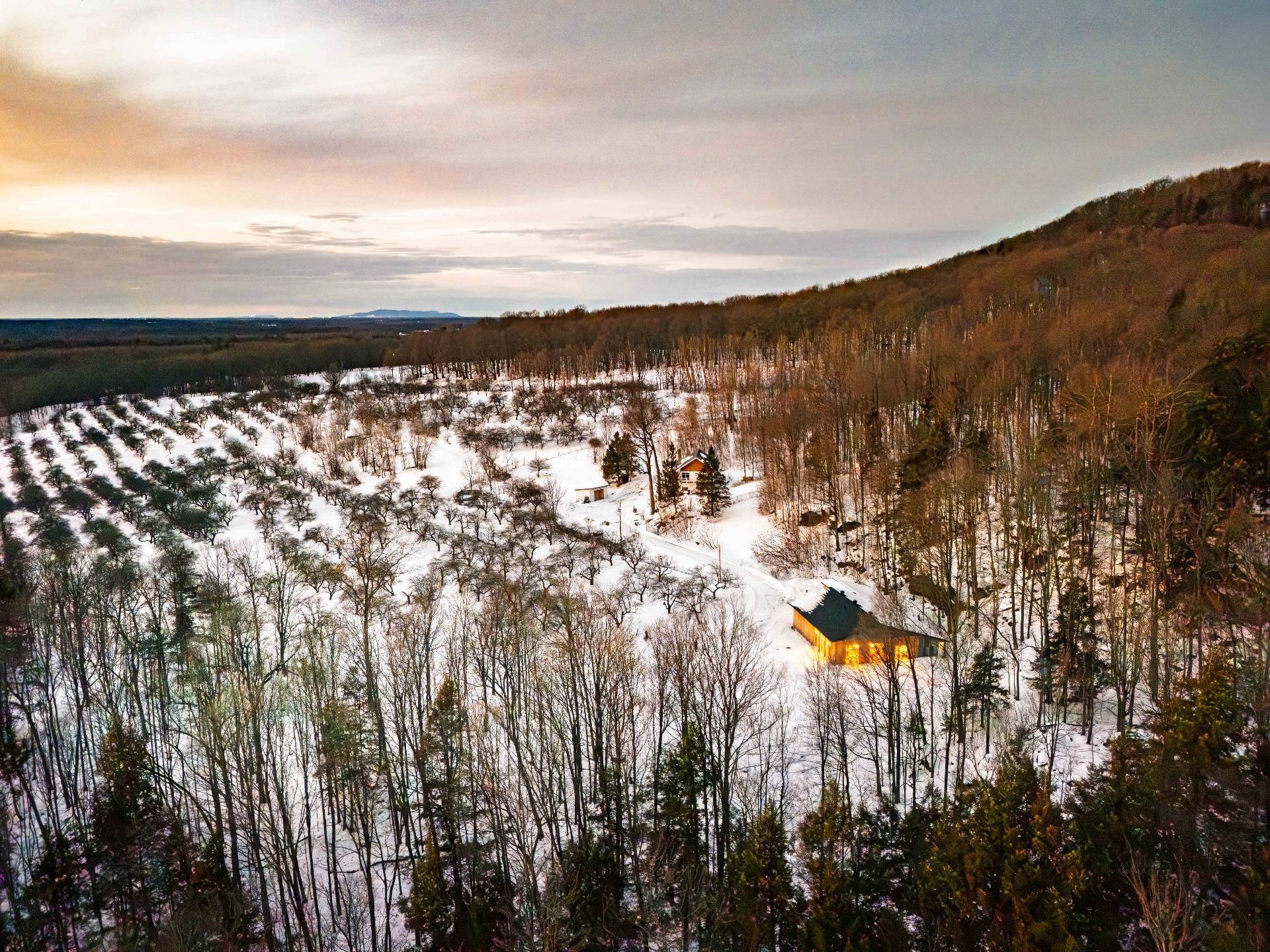 









1279


Ch. Hallé E.

,
Brigham,







QC
J2K4G5

