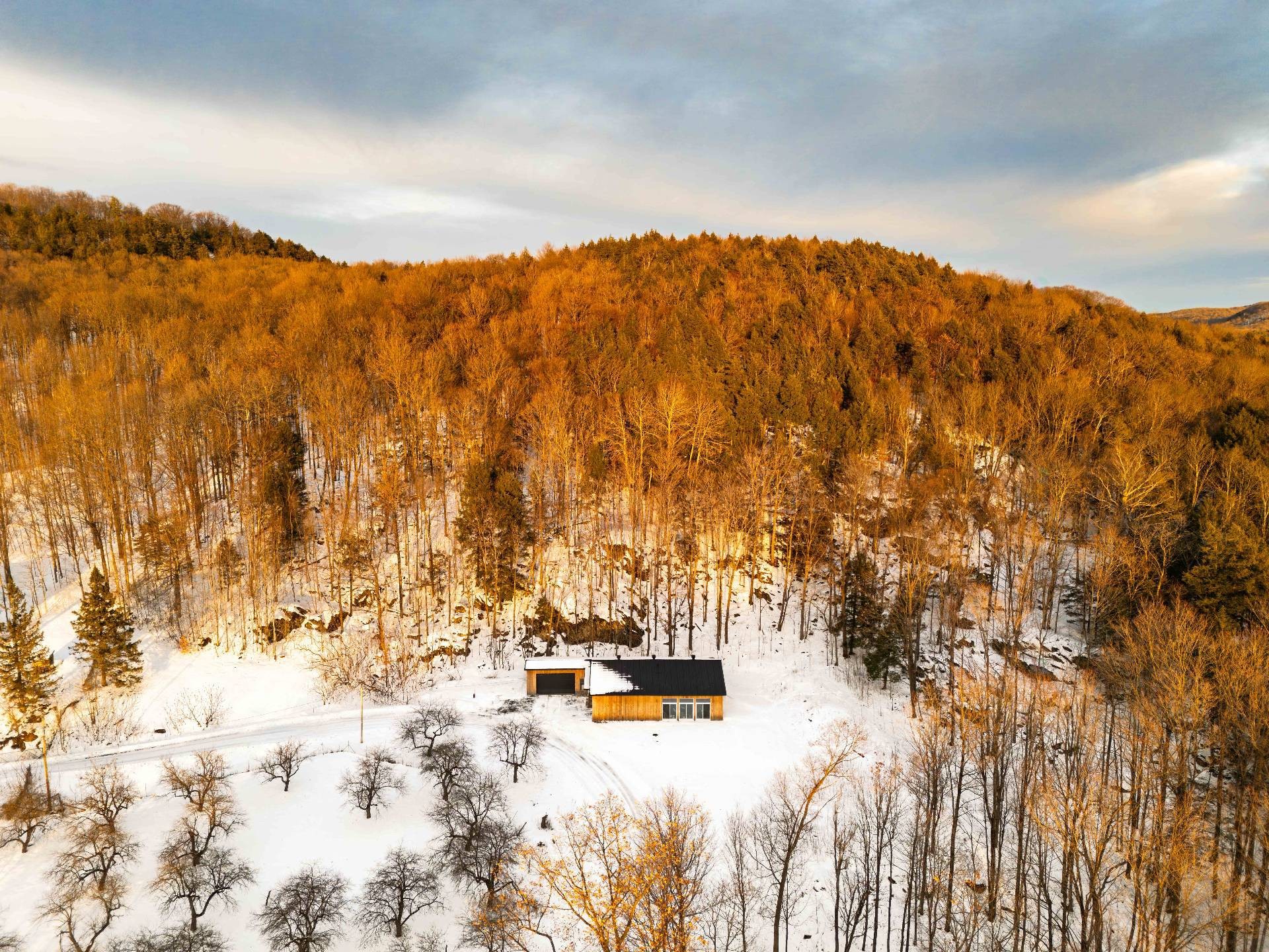 









1279


Ch. Hallé E.

,
Brigham,







QC
J2K4G5

