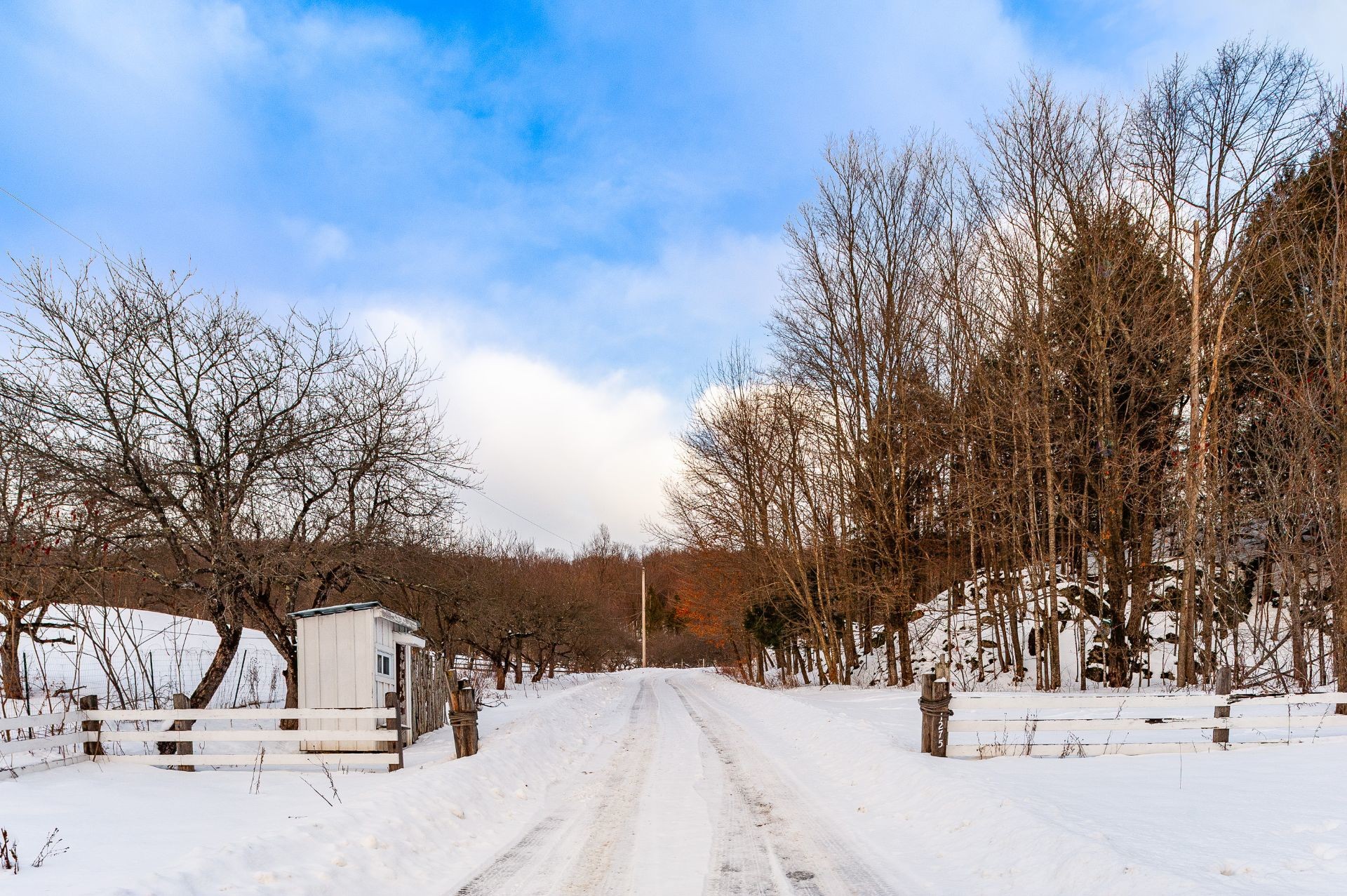 









1279


Ch. Hallé E.

,
Brigham,







QC
J2K4G5

