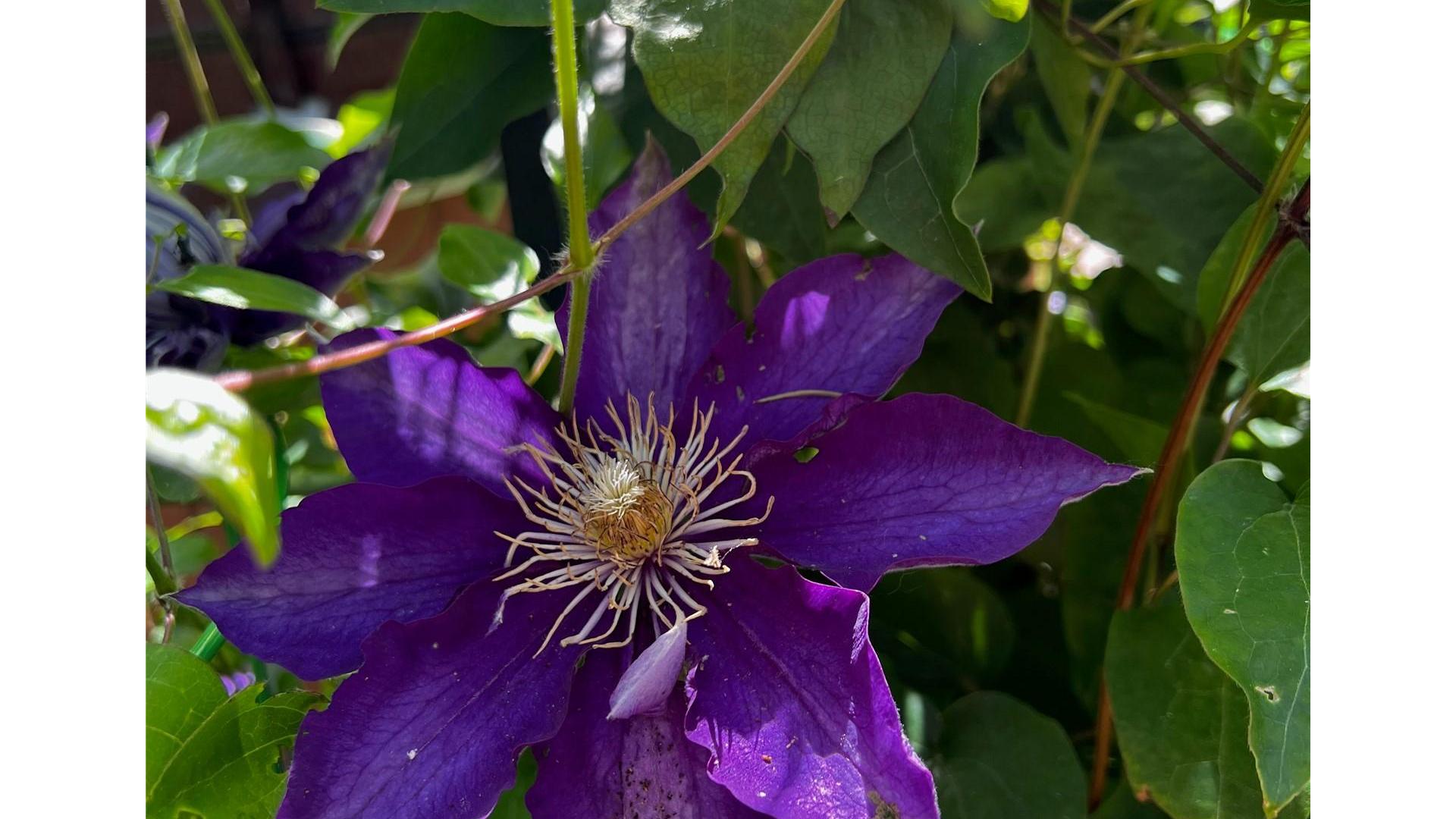 









179


Springbend

Road,
Enderby,




BC
V0E 1V3

