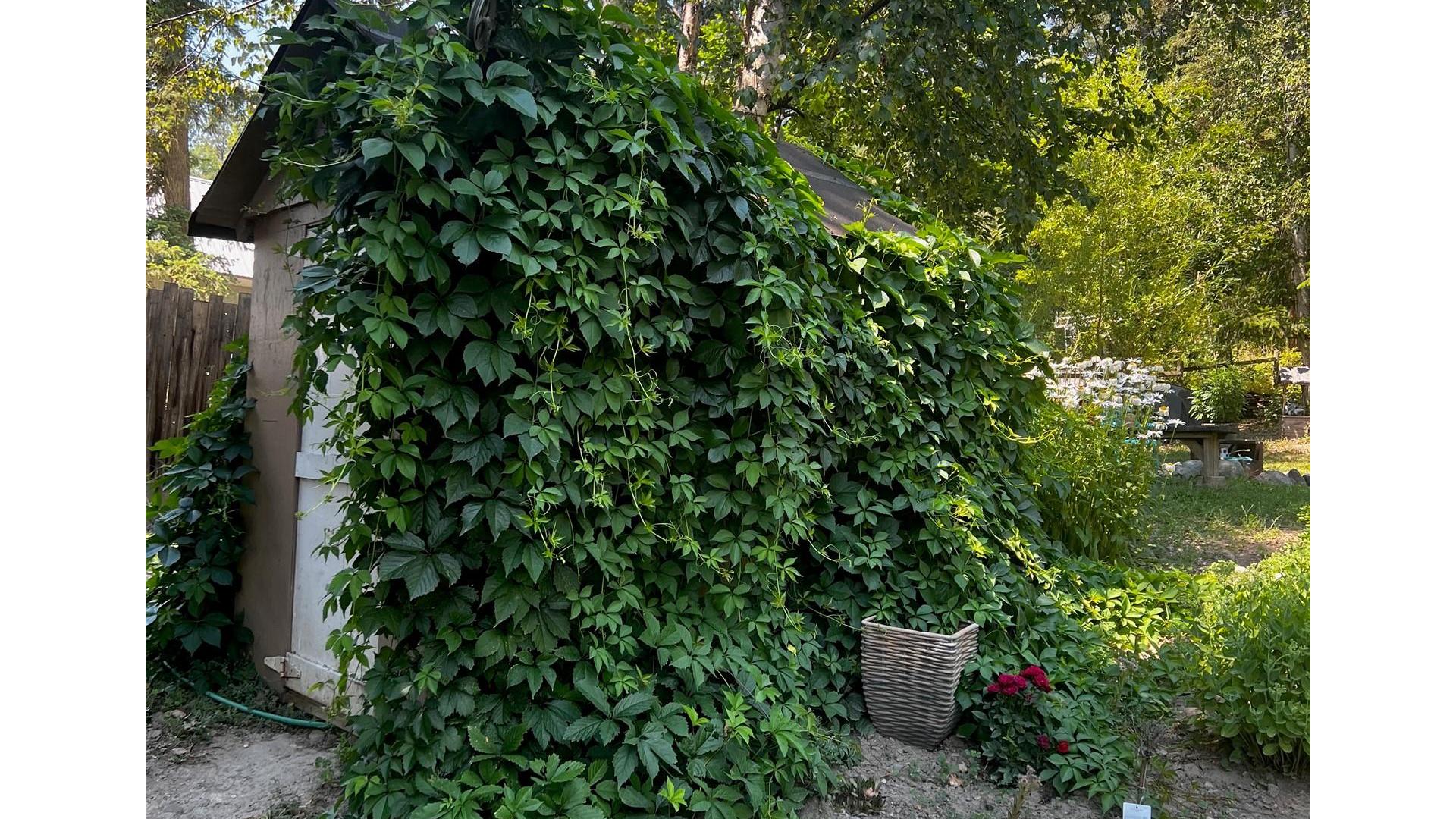 









179


Springbend

Road,
Enderby,




BC
V0E 1V3

