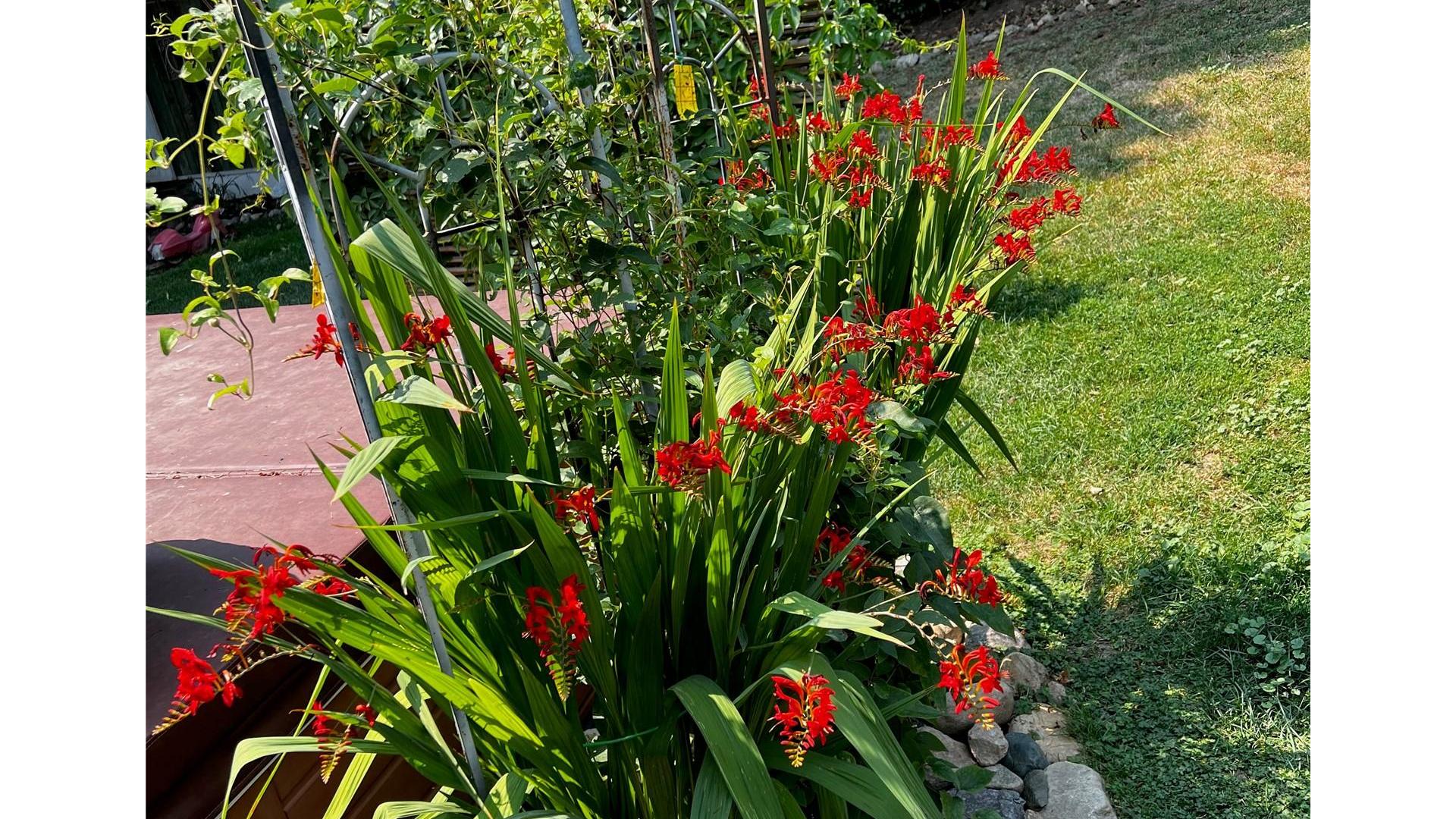 









179


Springbend

Road,
Enderby,




BC
V0E 1V3

