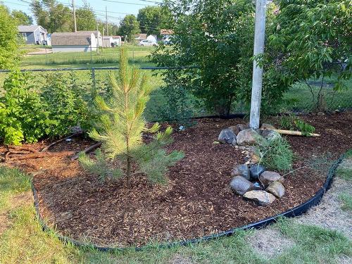 Professional Landscaped back yard