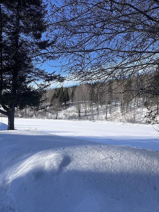 









17


Ch. des Neufs-Milles

,
Notre-Dame-de-la-Paix,




QC
J0V1P0

