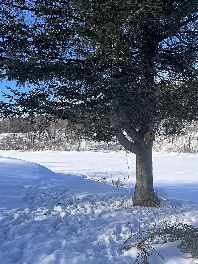 









17


Ch. des Neufs-Milles

,
Notre-Dame-de-la-Paix,




QC
J0V1P0

