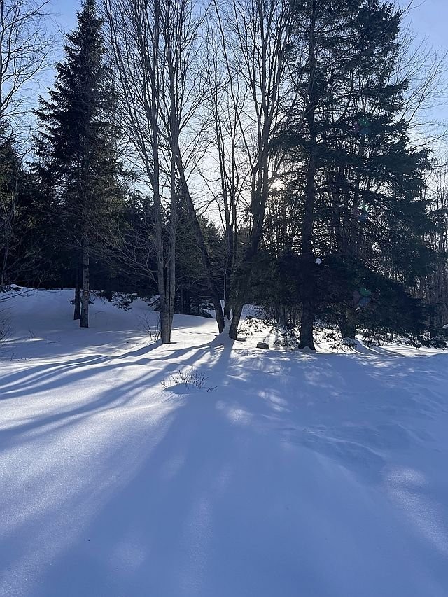 









17


Ch. des Neufs-Milles

,
Notre-Dame-de-la-Paix,




QC
J0V1P0

