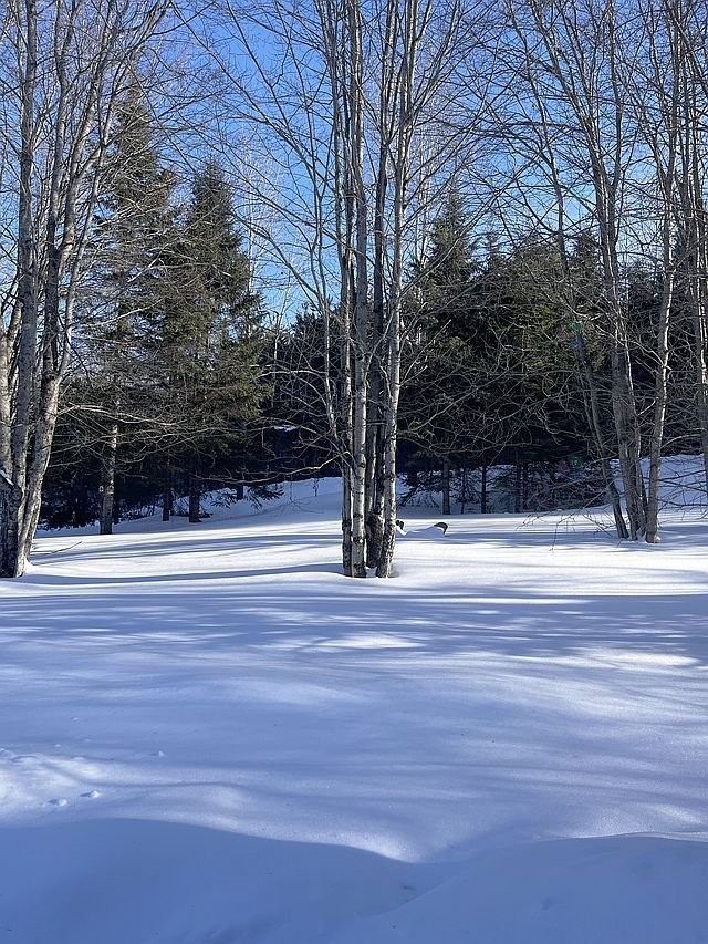 









17


Ch. des Neufs-Milles

,
Notre-Dame-de-la-Paix,




QC
J0V1P0

