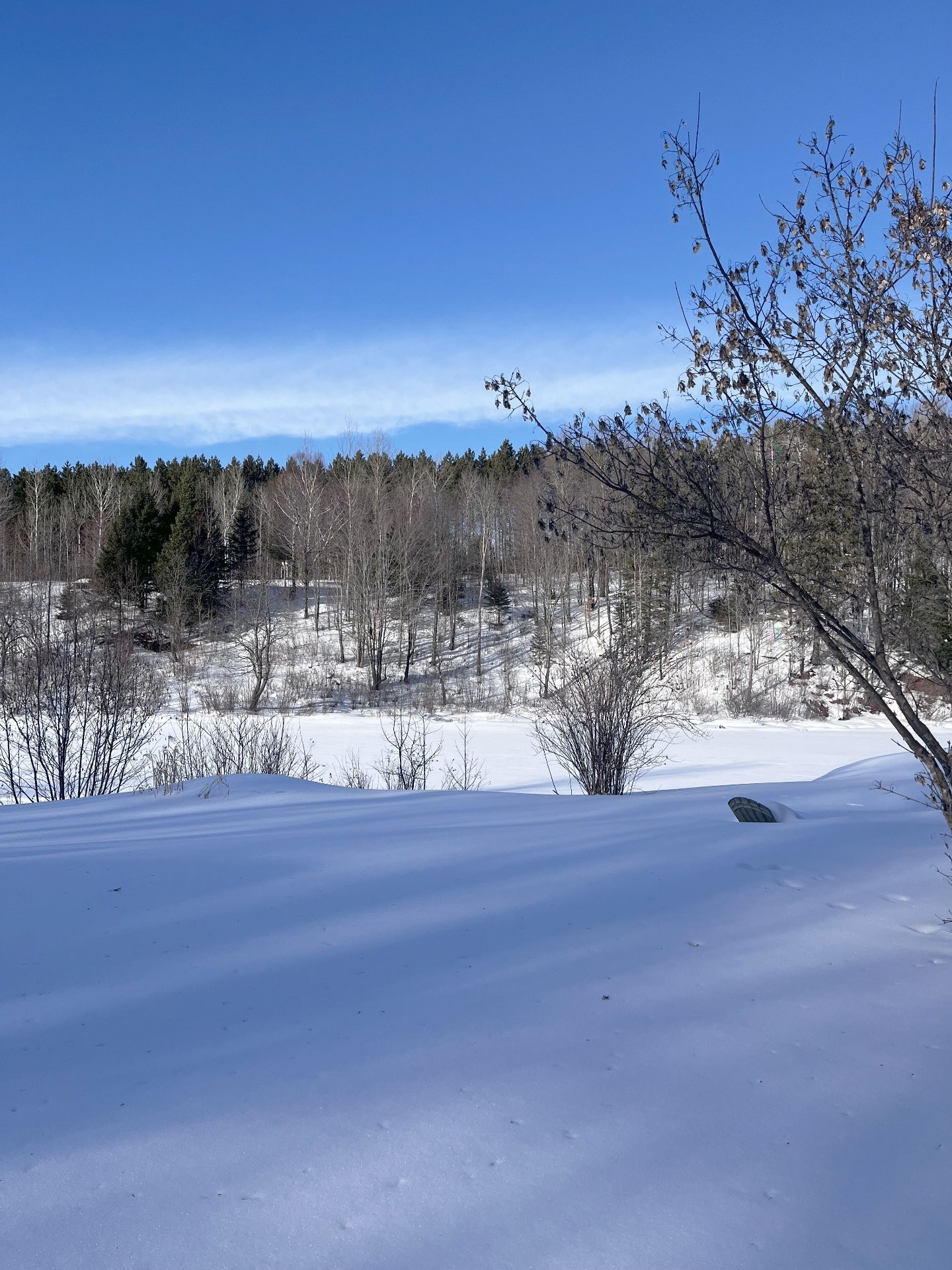 









17


Ch. des Neufs-Milles

,
Notre-Dame-de-la-Paix,




QC
J0V1P0

