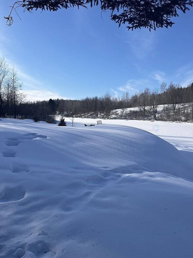 









17


Ch. des Neufs-Milles

,
Notre-Dame-de-la-Paix,




QC
J0V1P0

