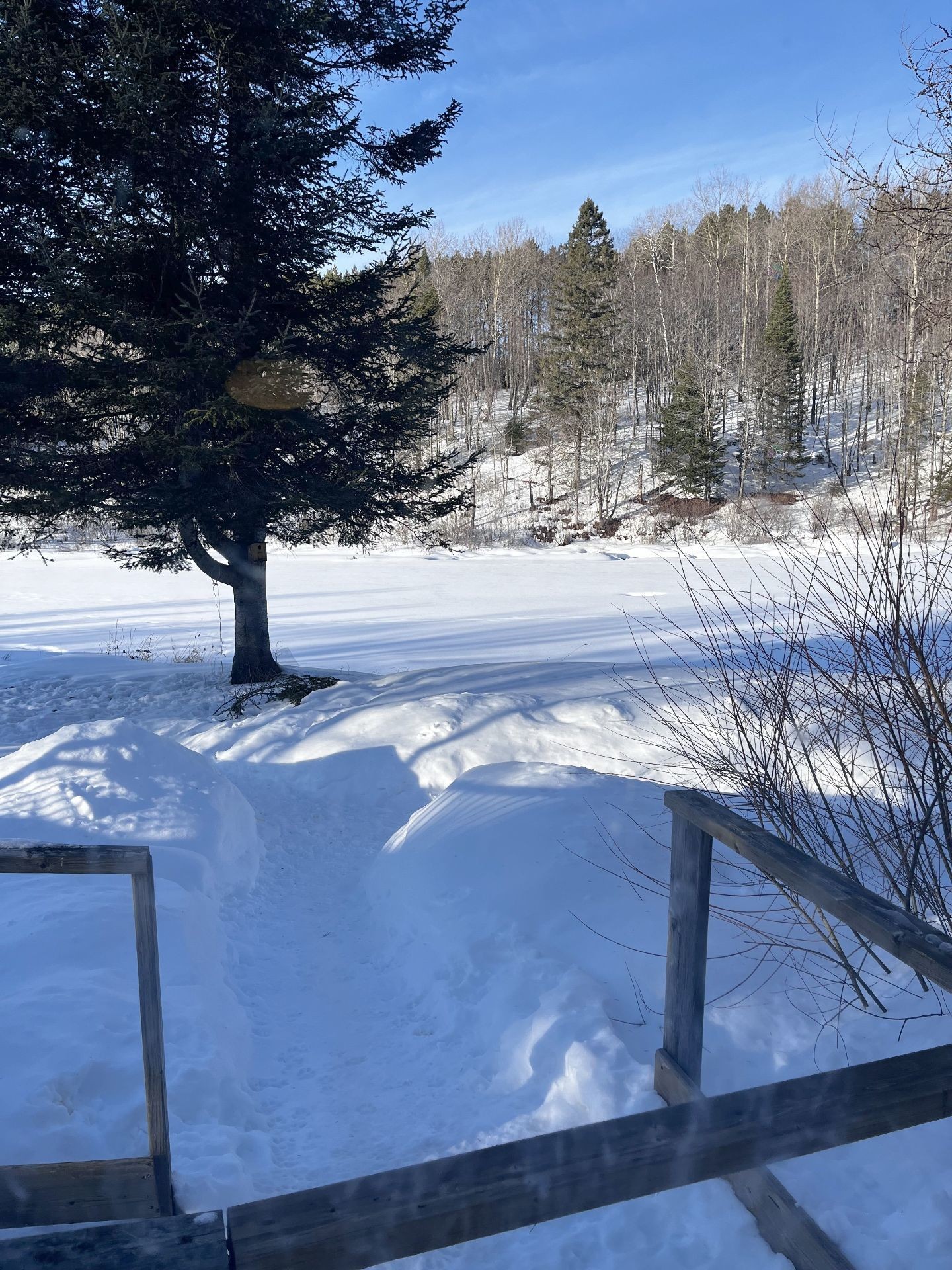 









17


Ch. des Neufs-Milles

,
Notre-Dame-de-la-Paix,




QC
J0V1P0

