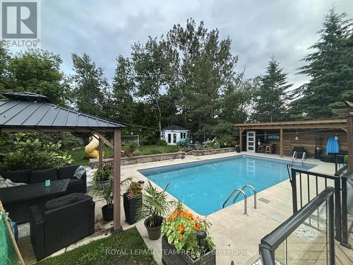 Backyard Summer 2025