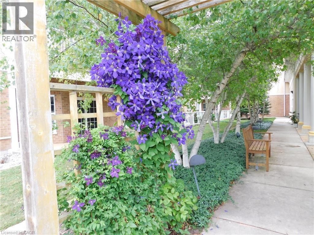 












317 LOCK Street W Unit# 211

,
Dunnville,




Ontario
N1A0A1

