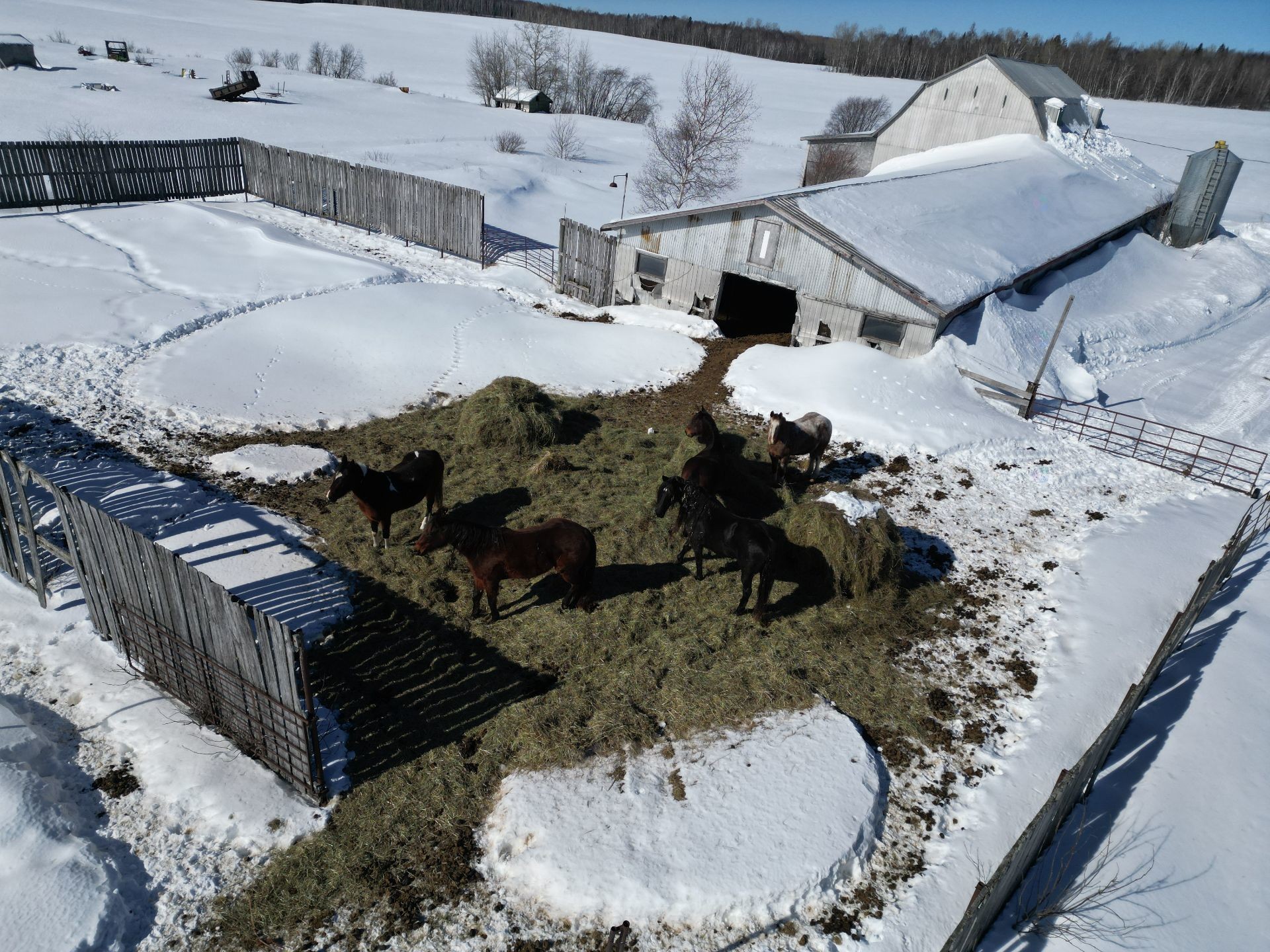 









1854


Ch. de l'Église

,
Rémigny,







QC
J0Z3H0

