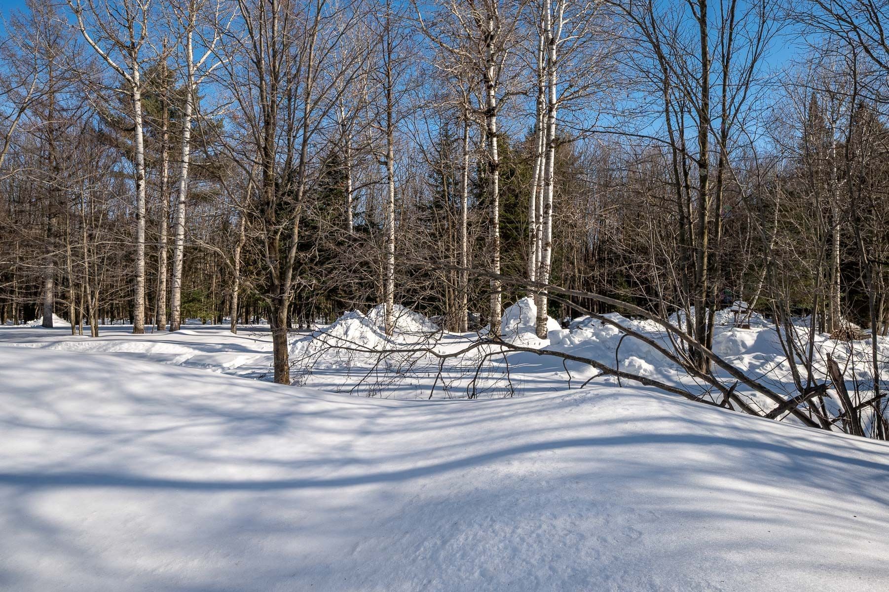 









1826


Boul. St-Antoine

,
Saint-Jérôme,




QC
J7Z7M2

