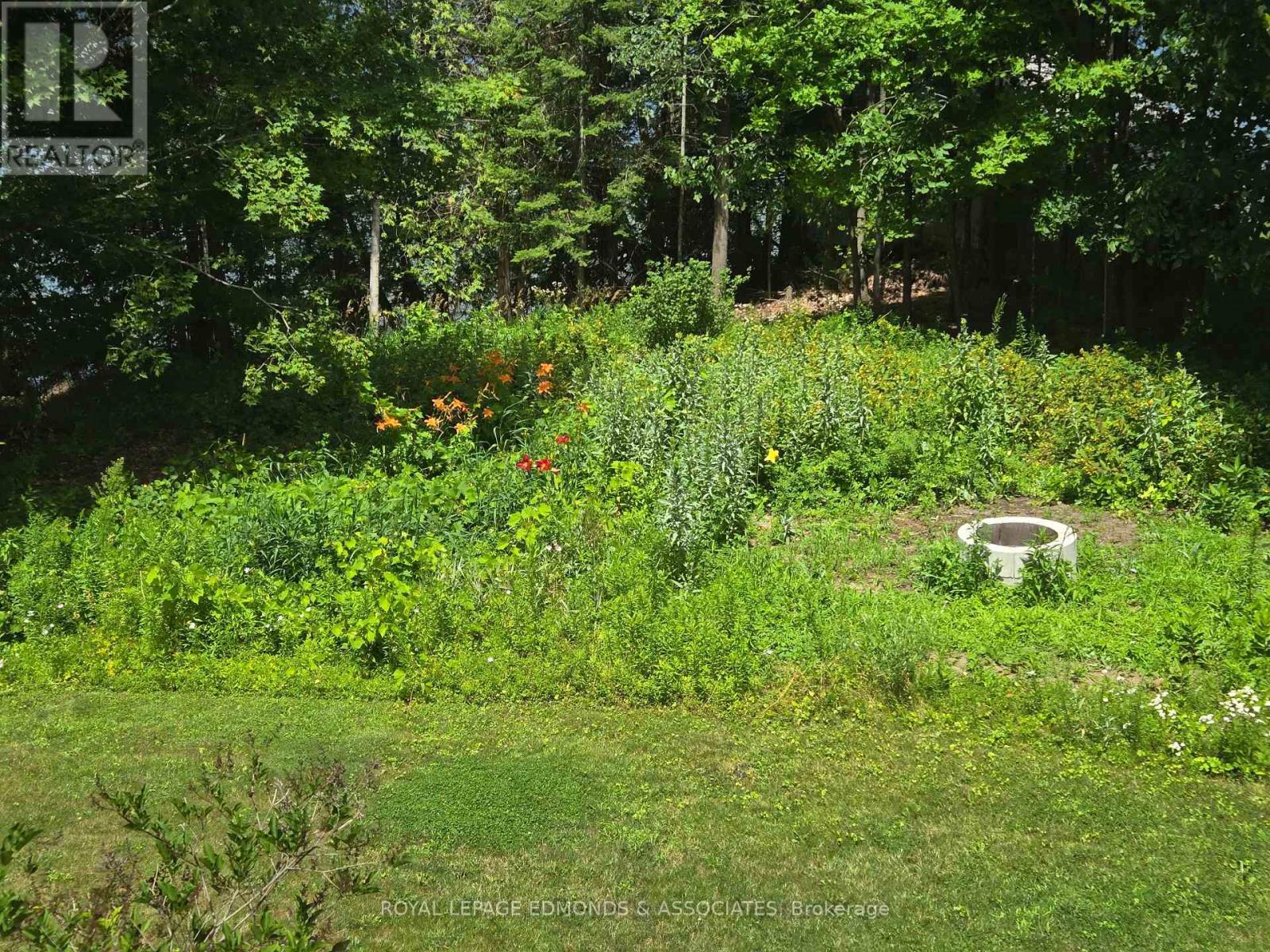 












47A TRILLIUM LANE

,
North Algona Wilberforce,




Ontario
K0J1T0

