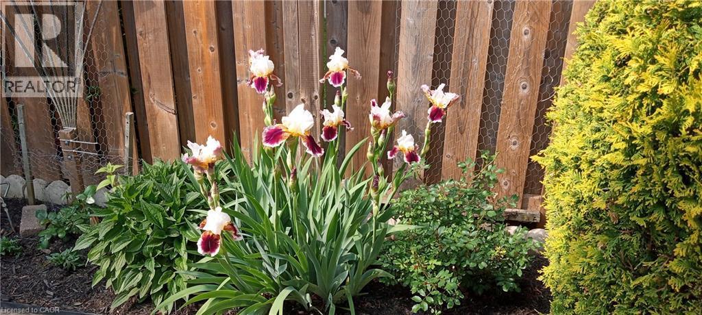 












20 TWENTYPLACE Boulevard

,
Mount Hope,




Ontario
L0R1W0

