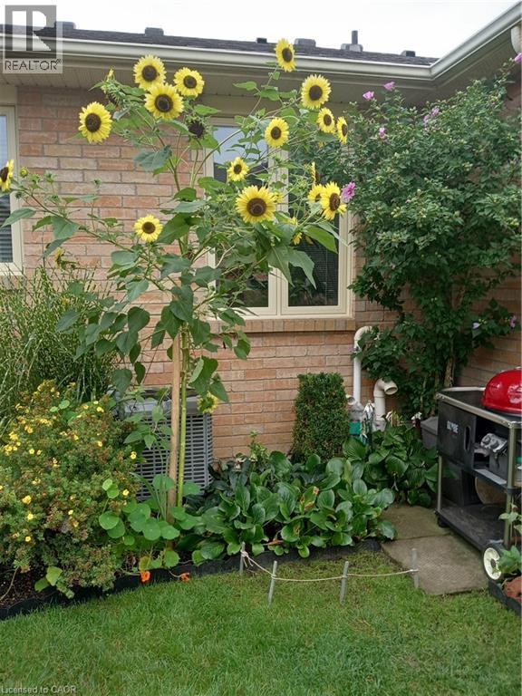 












20 TWENTYPLACE Boulevard

,
Mount Hope,




Ontario
L0R1W0

