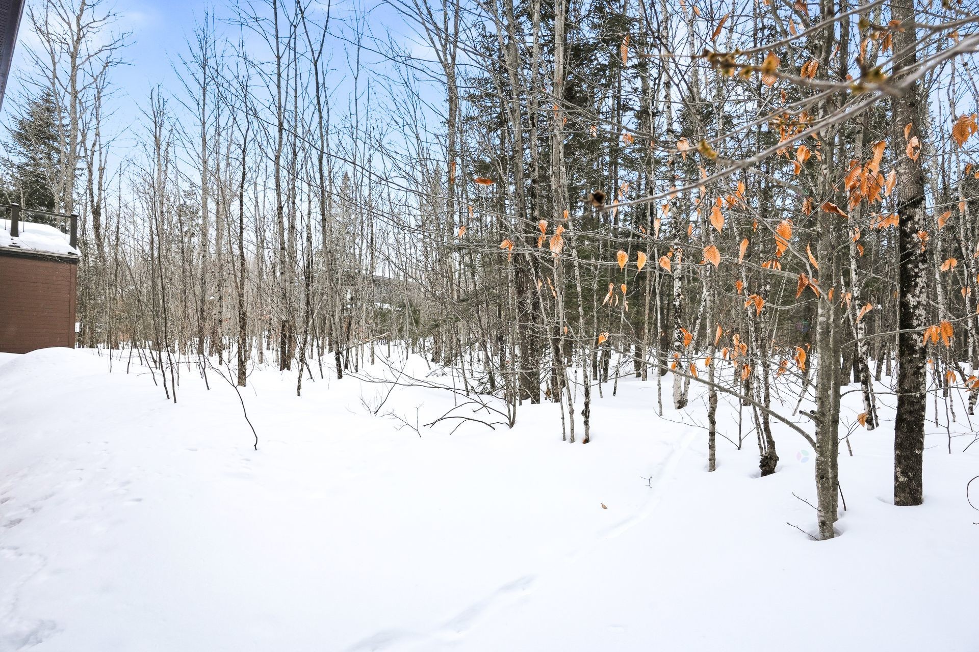 









60


Rue des Cervidés

,
Eastman,




QC
J0E1P0

