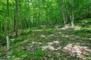 Terre/Terrain