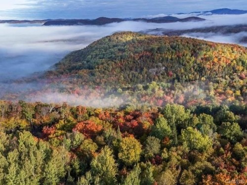 Photo de l'inscription vedette 