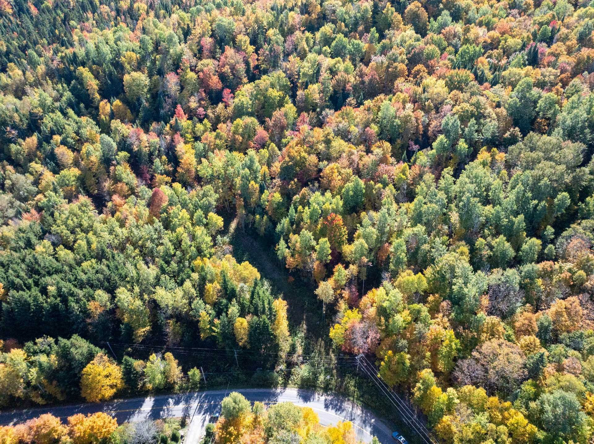 












Ch. du Lac-Sauvage

,
Mont-Blanc,







QC
J0T2G0

