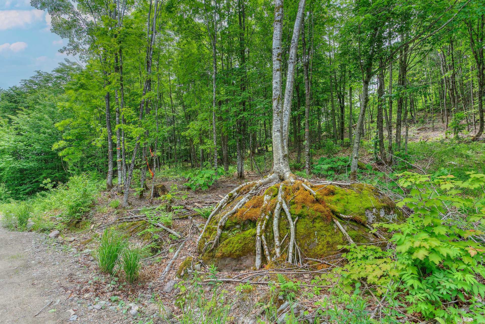 












Ch. des Faucons

,
Mont-Blanc,







QC
J0T2G0

