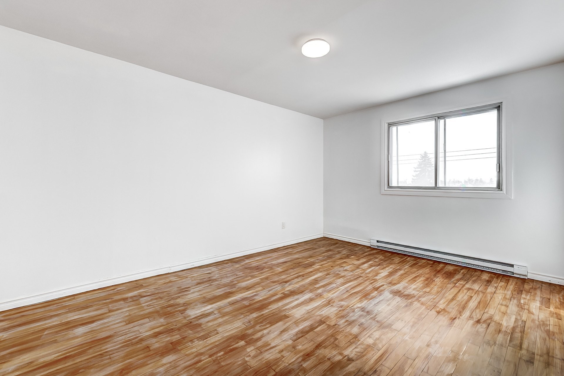 









11600


Boul. Langelier

, 8,
Montréal (Montréal-Nord),




QC
H1G3L8

