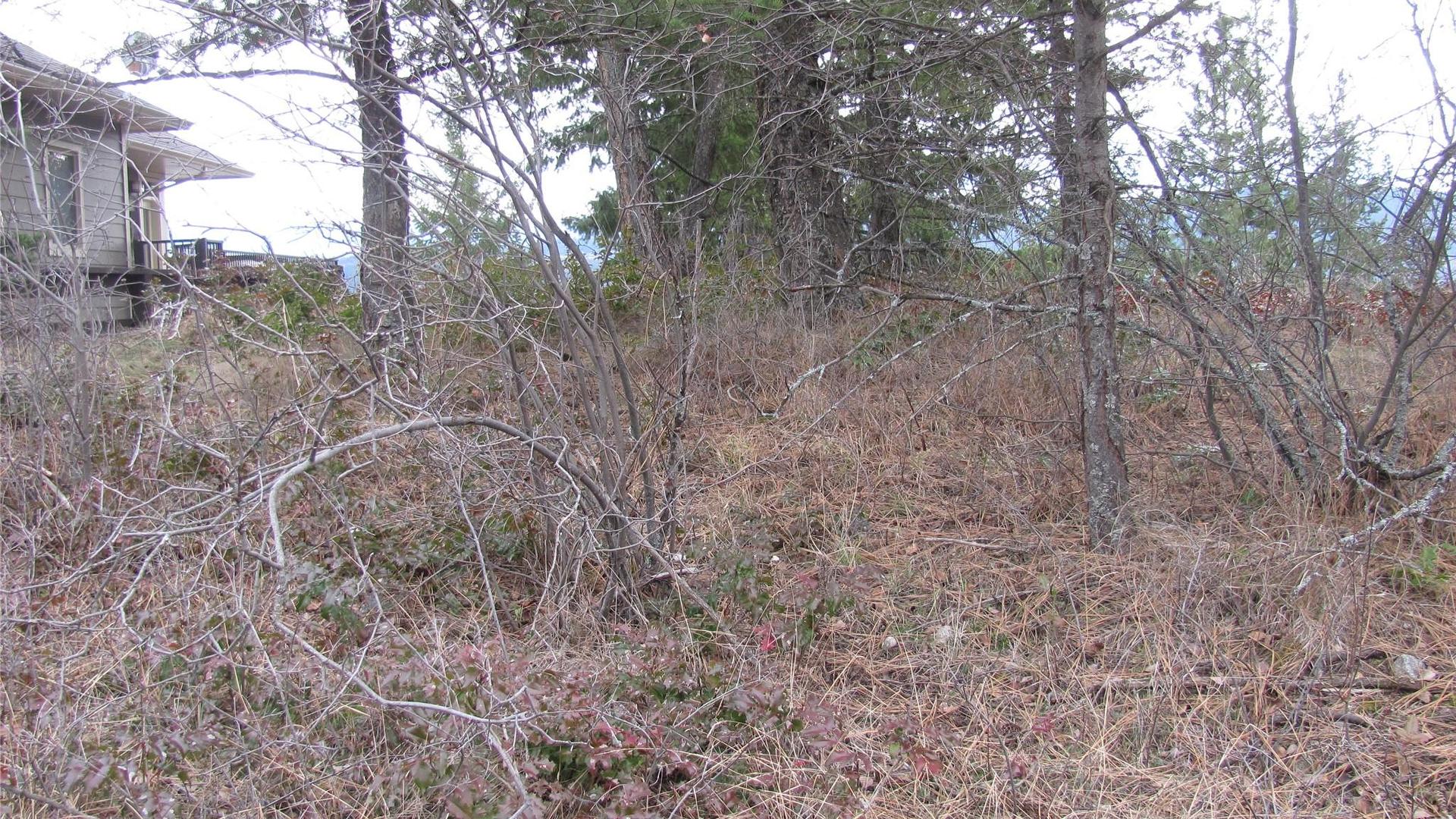 












Crown

Crescent,
Vernon,







BC
V1B 4A2

