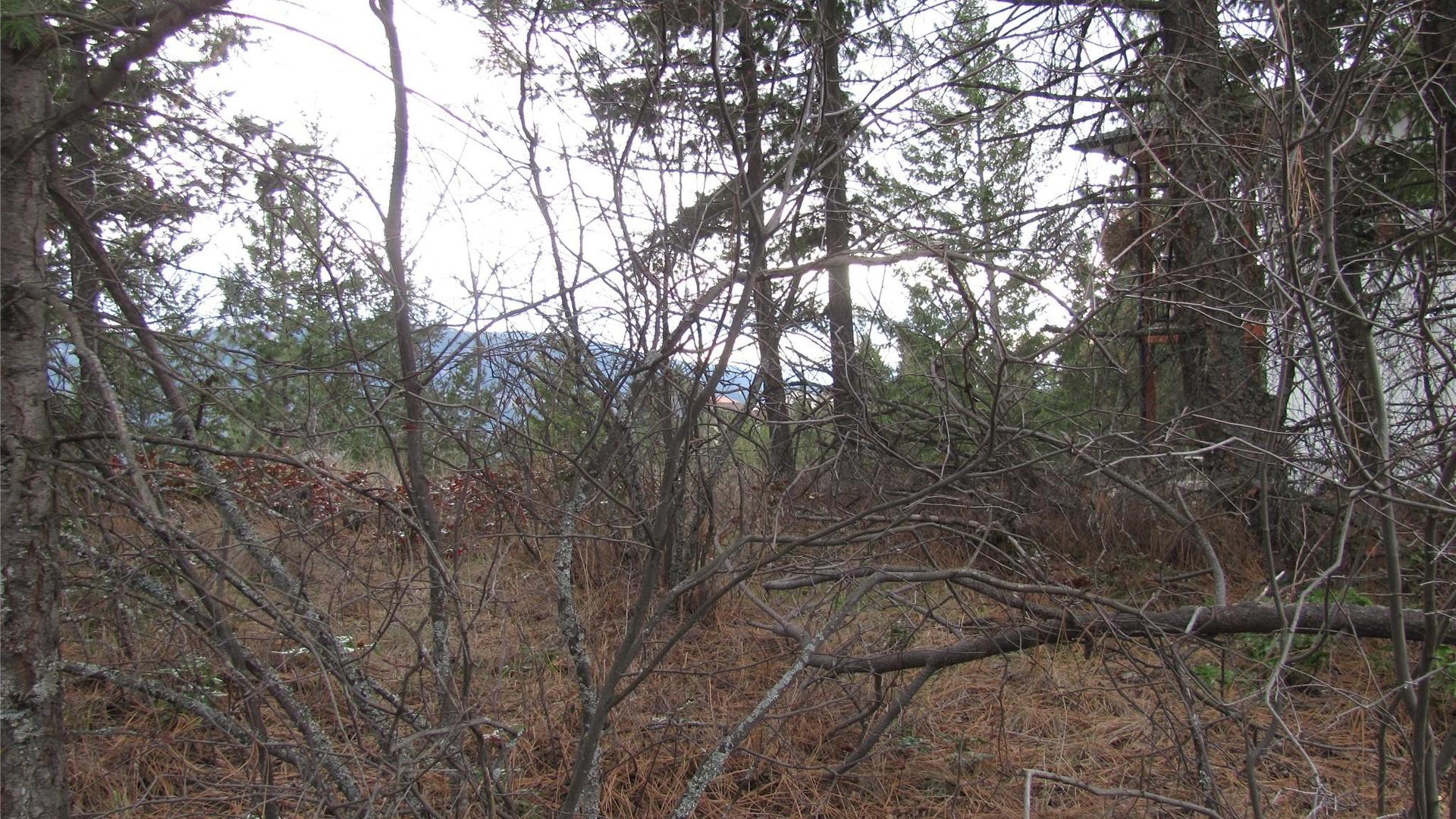 












Crown

Crescent,
Vernon,







BC
V1B 4A2

