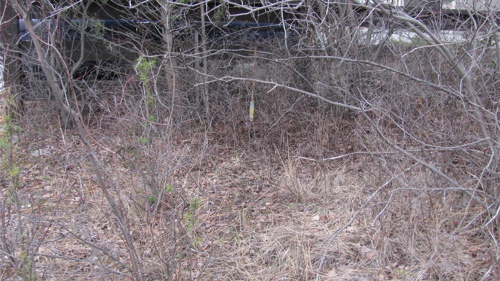 












Crown

Crescent,
Vernon,







BC
V1B 4A2

