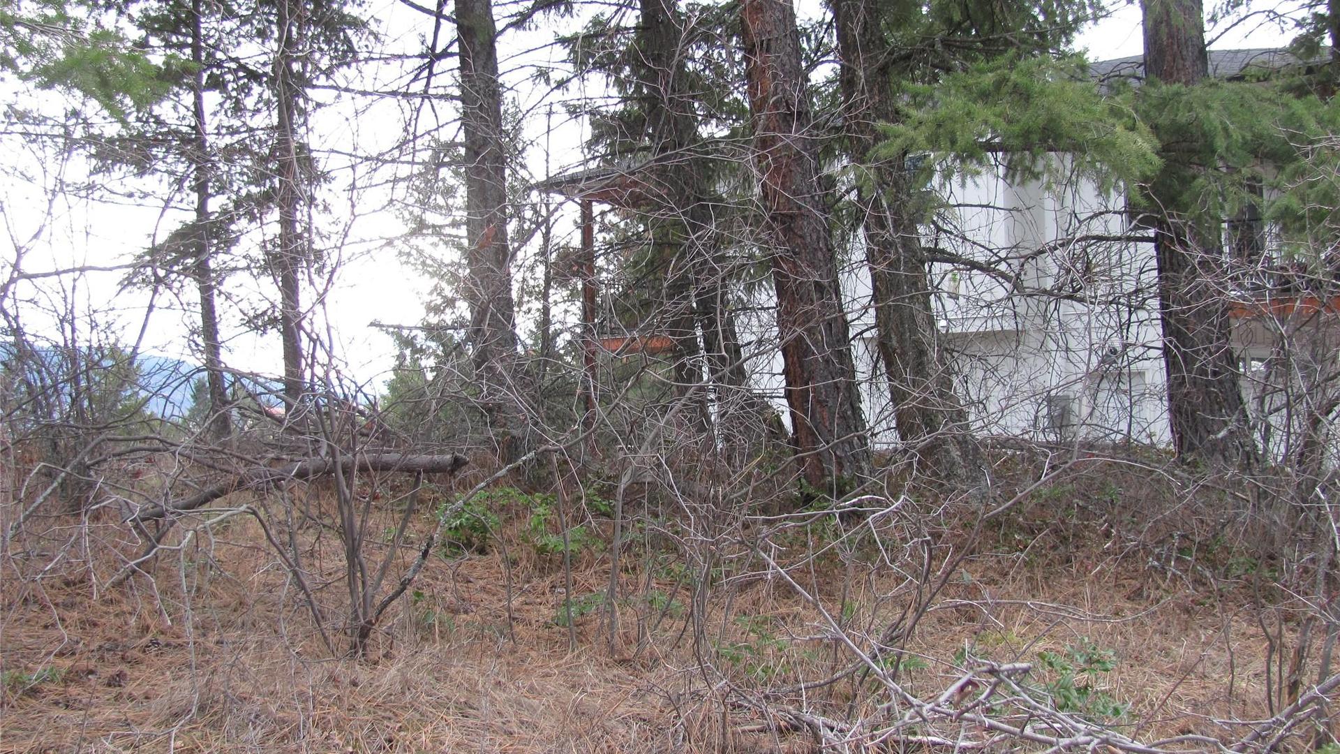 












Crown

Crescent,
Vernon,







BC
V1B 4A2

