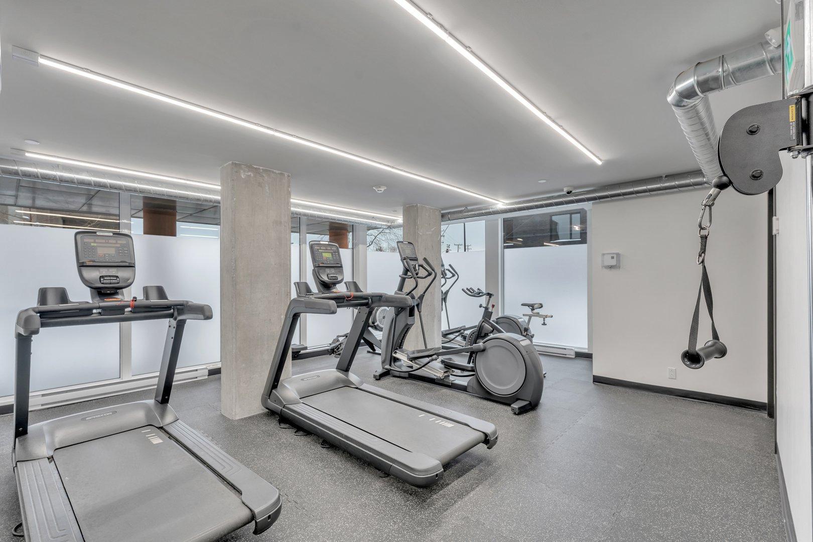 









1295


Rue des Carrières

, 312,
Montréal (Rosemont/La Petite-Patrie),




QC
H2S0E1

