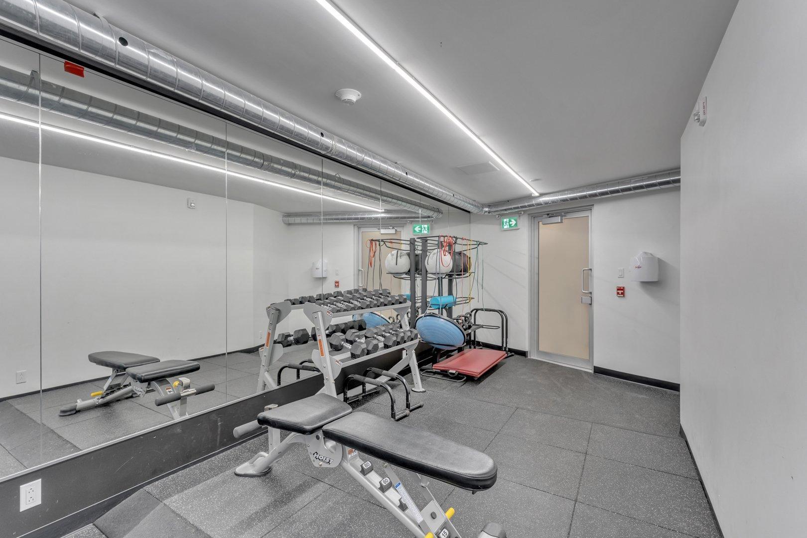 









1295


Rue des Carrières

, 313,
Montréal (Rosemont/La Petite-Patrie),




QC
H2S0E1

